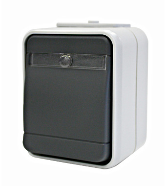 f_el442619- Buton cu revenire cu bec IP44, gri/gri Schrack